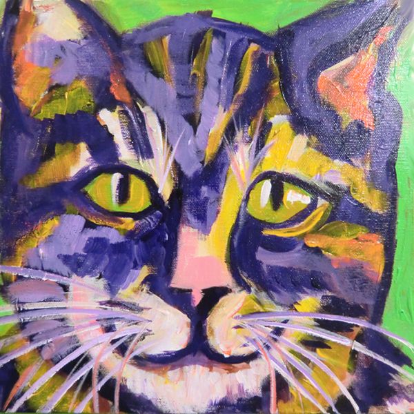 Tiger Cat